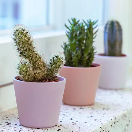 Appartement Modern And Comfortable