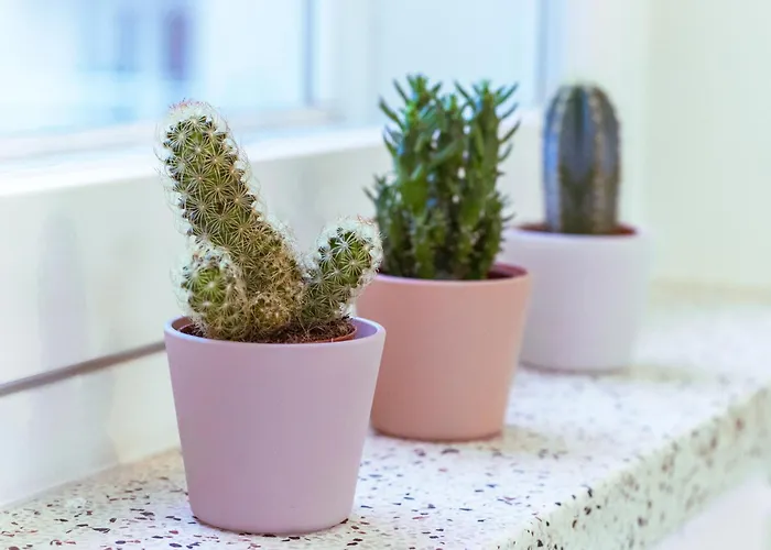 アパート Modern And Comfortable